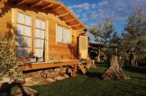 Abri de jardin en bois WISSOUS (34 mm), 4x3 m, 12 m² customer 3