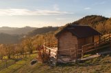 Abri de jardin en bois avec appenti ELLA (44 mm), 7x4 m, 28 m² customer 2