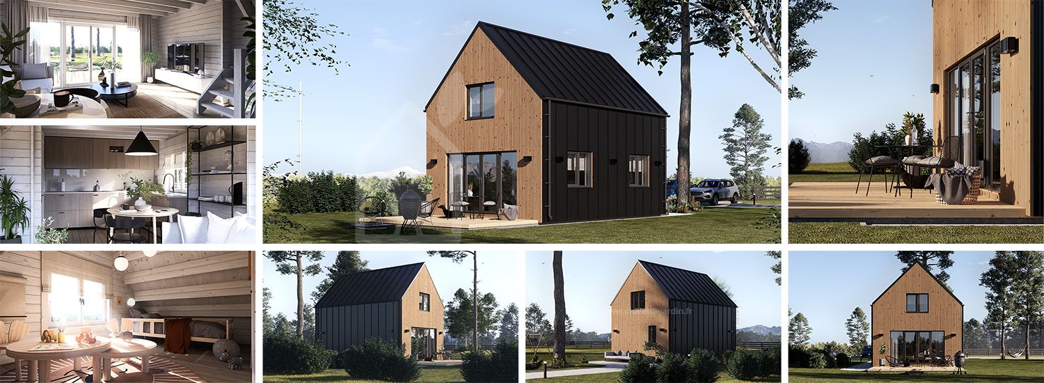 Maison préfabriquée en bois ALINA PV (Isolé RE2020, 44 mm + bardage), 46 m² visualization 1