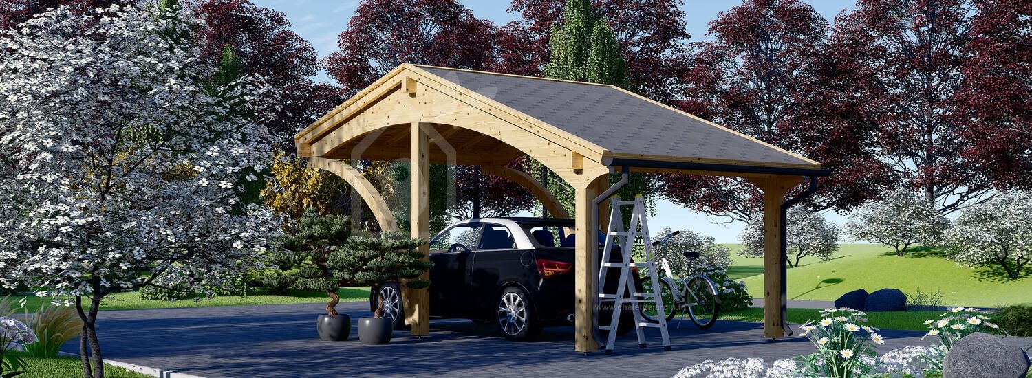 Carport bois 3x5