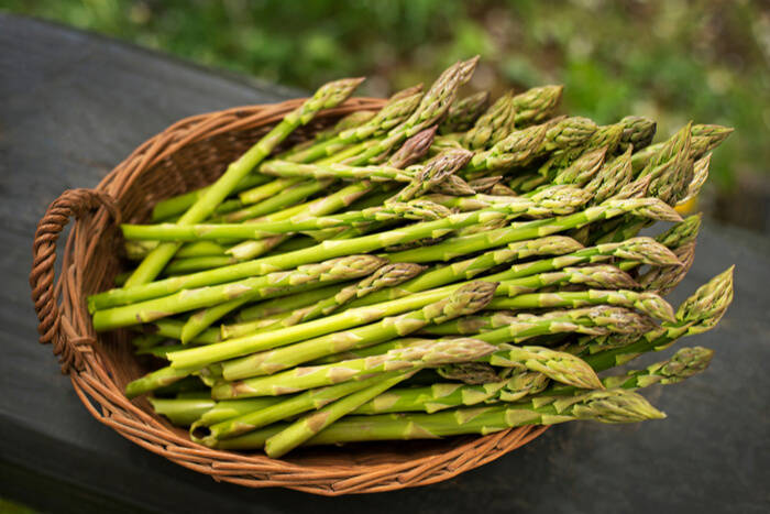 Asparagus06063