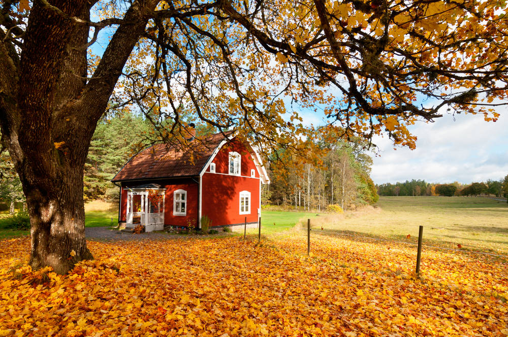 l’automne-chalet-enn-bois