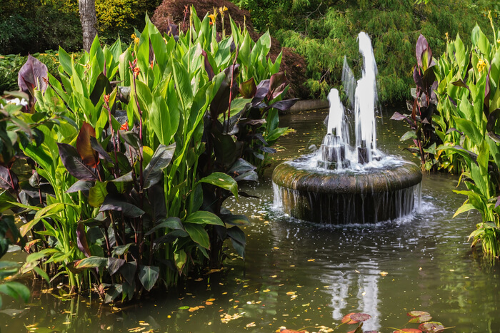 Fontaine solaire : 5 modèles à placer dans votre jardin