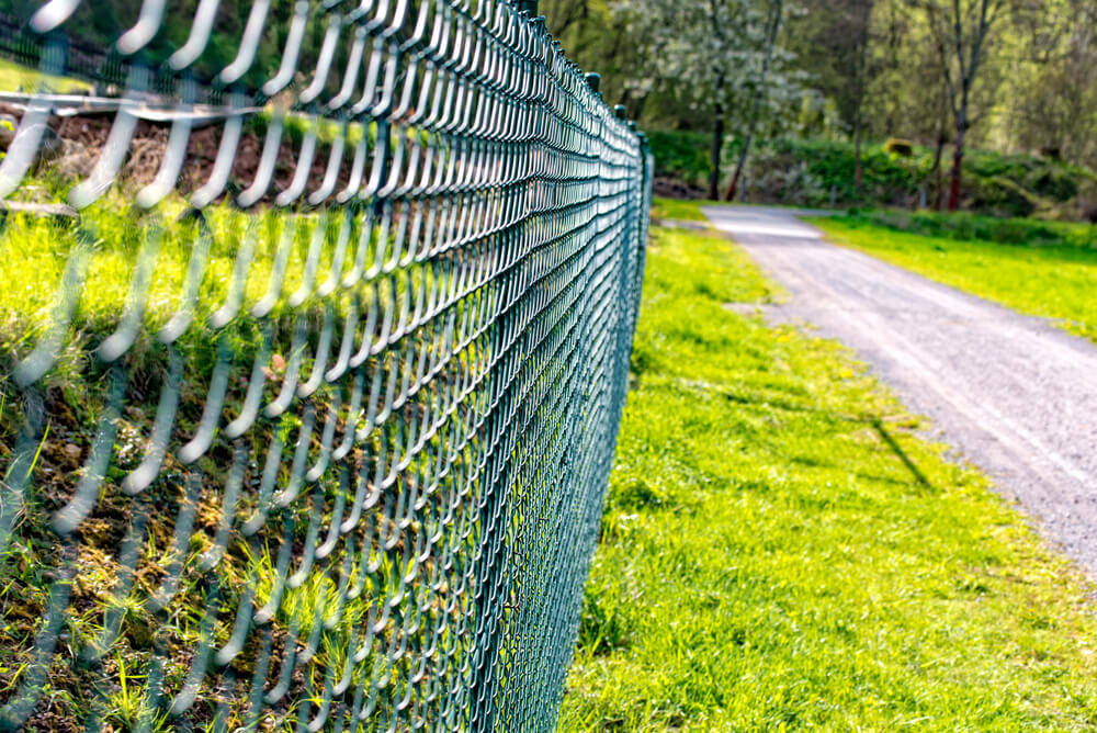 A-habitable-cottage-fence-in-grid-panel-is-an-excellent-barrier-against-animal-intrusions5083