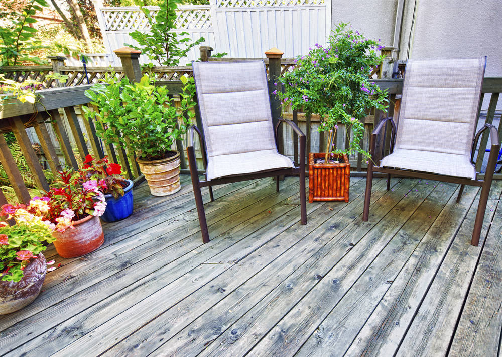 Plantes-en-terrasse-dans-un-chalet-en-bois