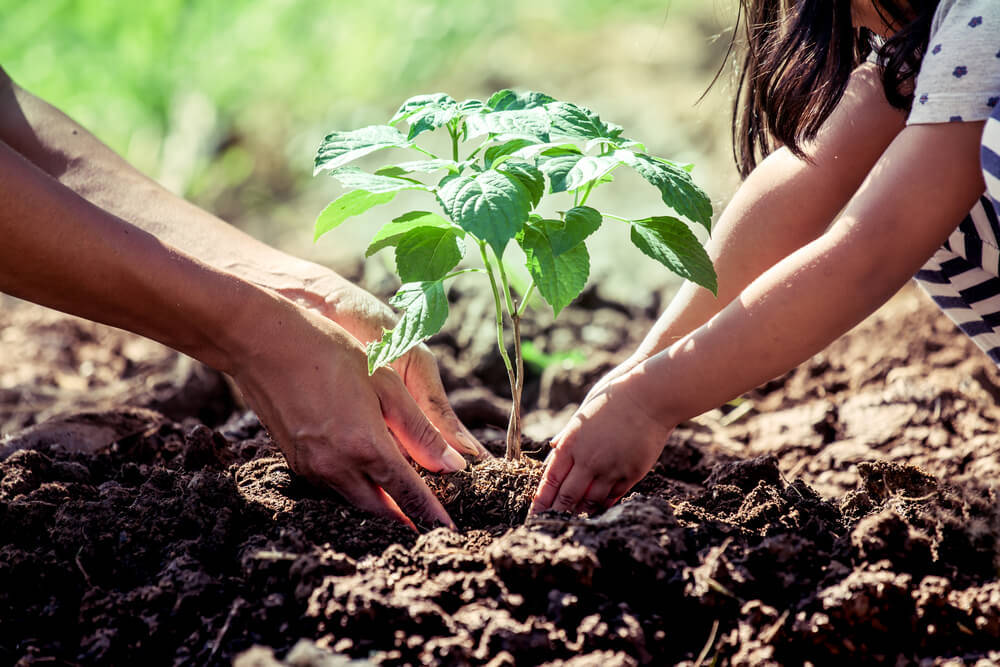 vous-ferez-d’importantes-économies-dans-vos-abris-de-jardin02052